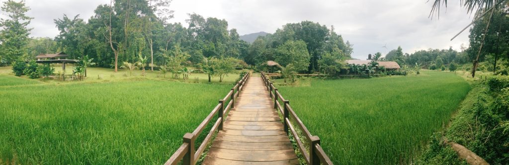 organic farm philippines