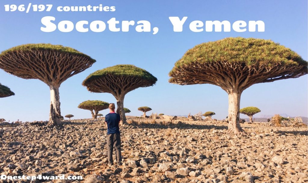 socotra yemen