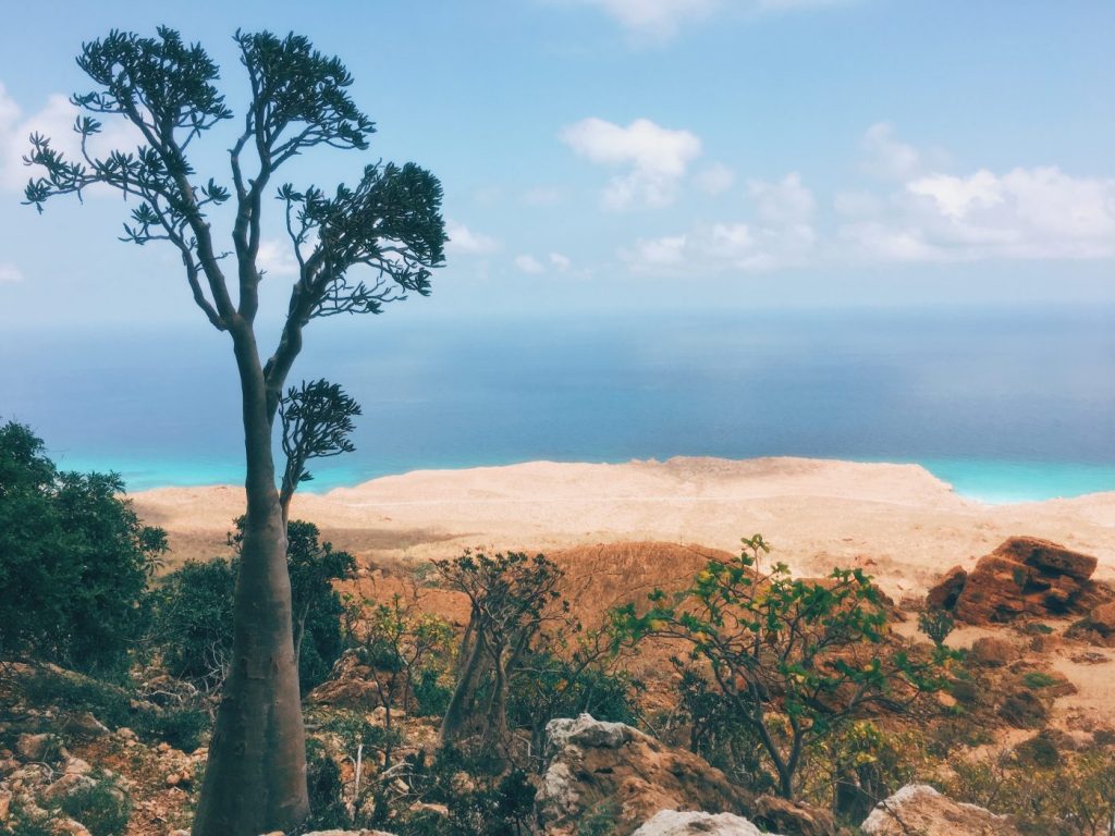 Hoq Cave, Socotra, Yemen