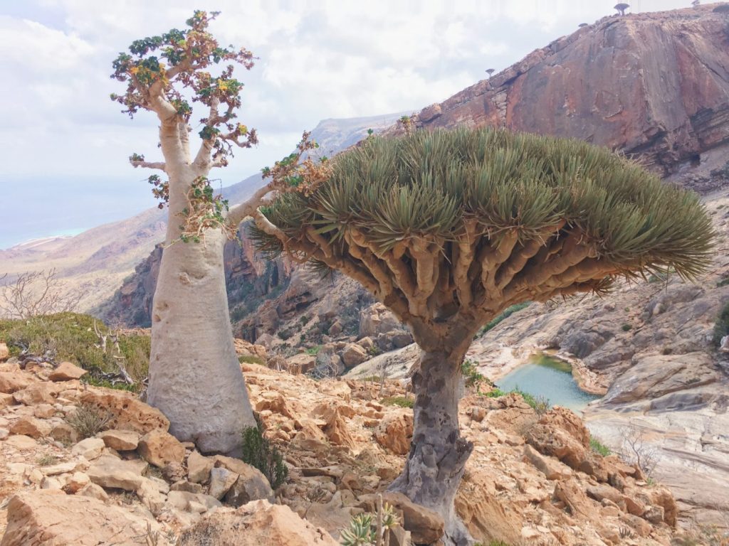 Homh Hill, Socotra, Yemen