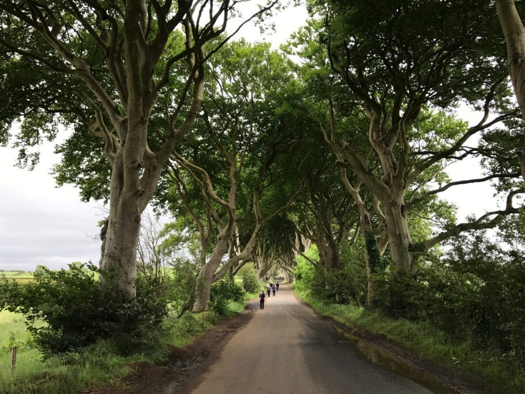 the dark hedges game of thrones