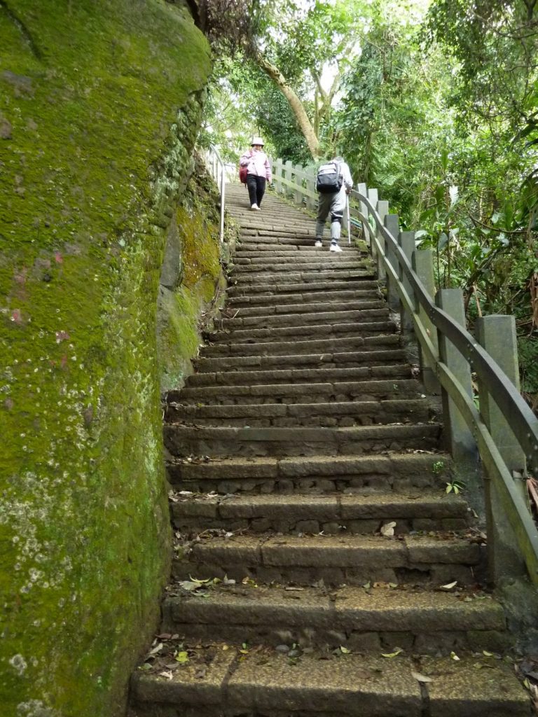 Elephant mountain hike