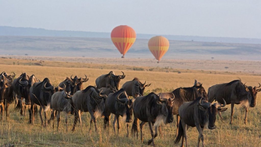 Serengeti Marathon