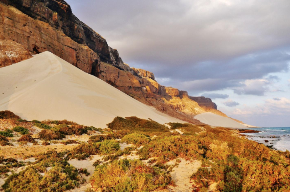 One week itinerary Socotra