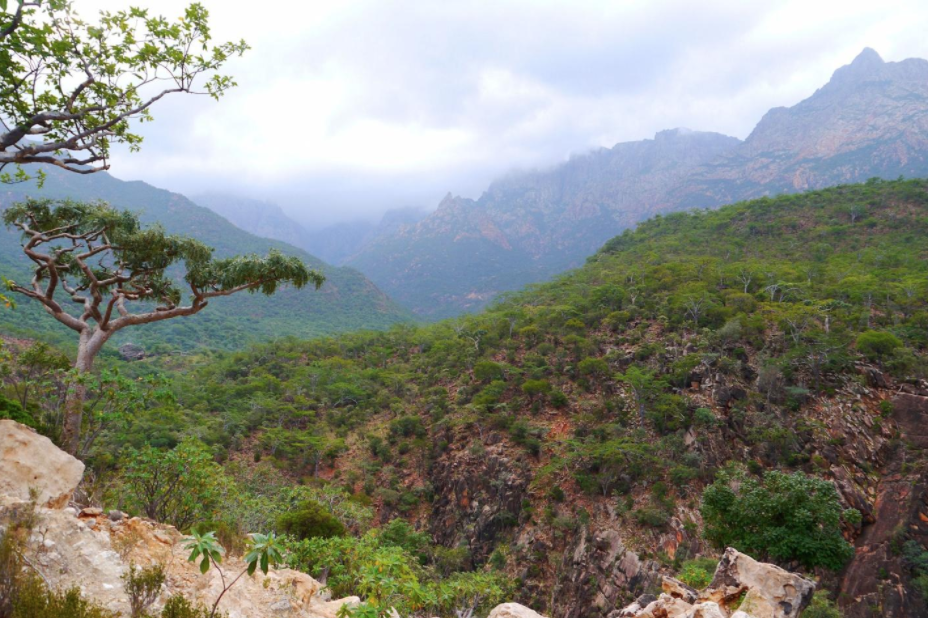 socotra eco tour