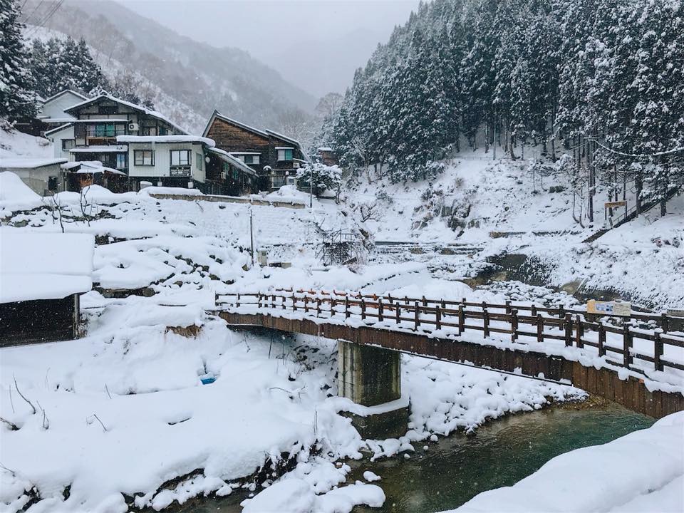 Jigokudani Snow Monkey Park