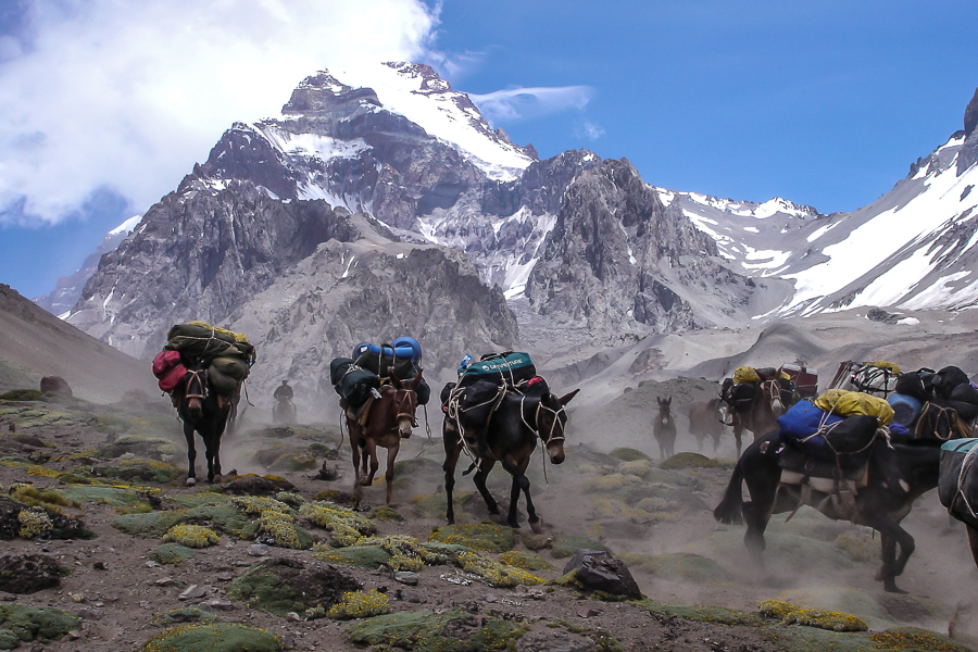 Aconcagua