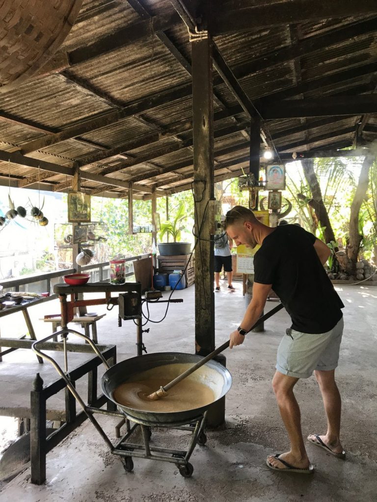 Coconut farm bangkok