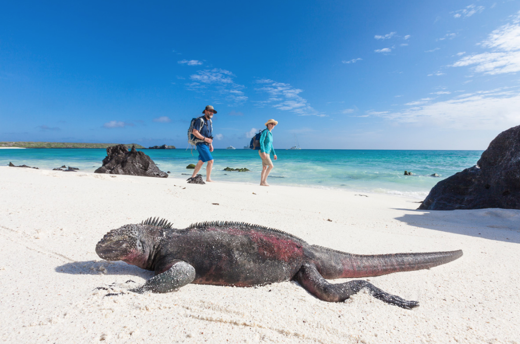 galapagos islands and amazon tours