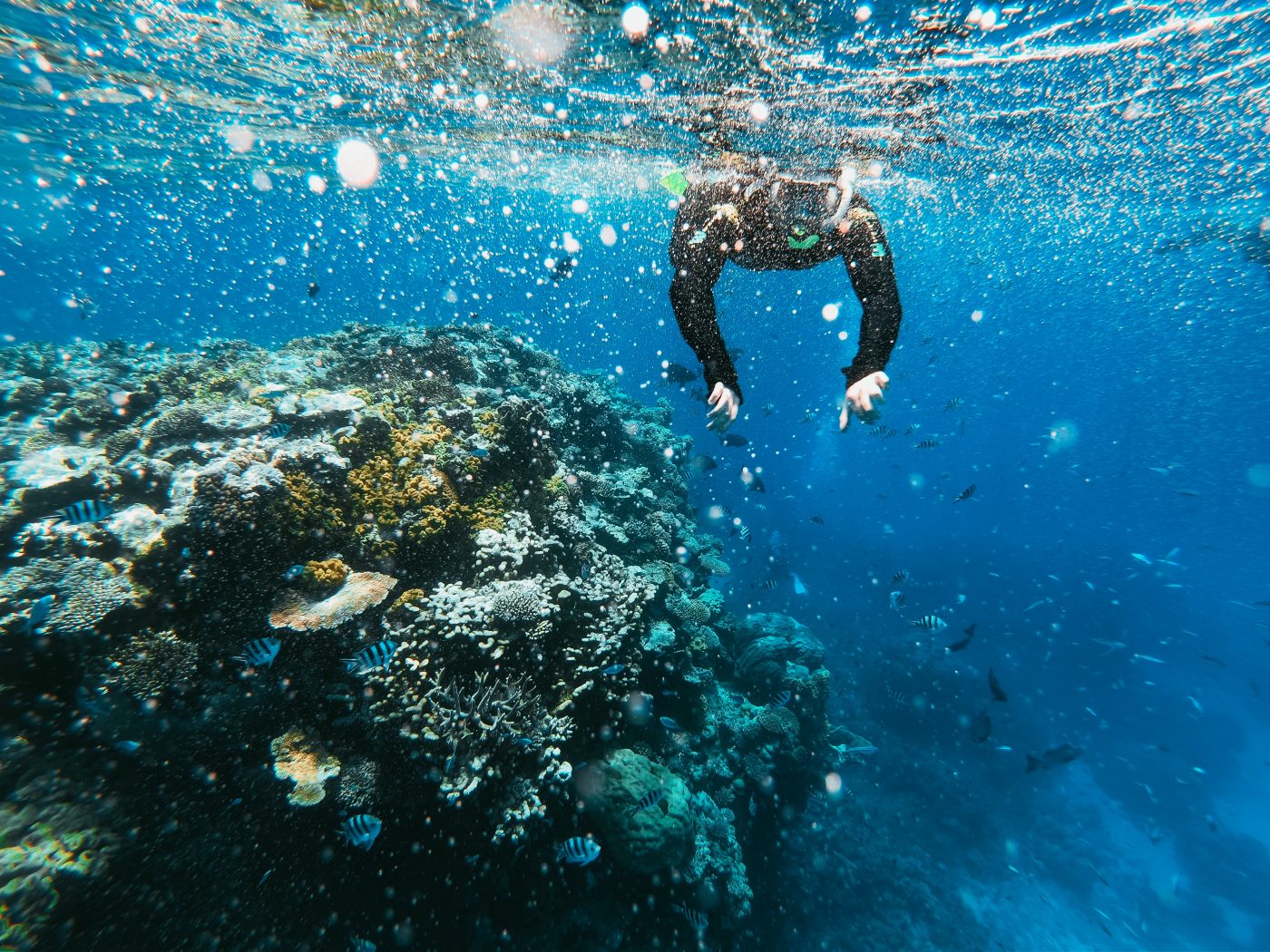 7 natural wonders