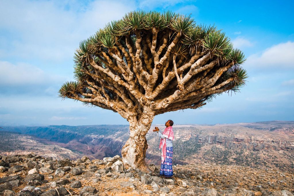 Socotra Tour, Yemen
