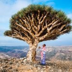 Tours to Socotra 2021