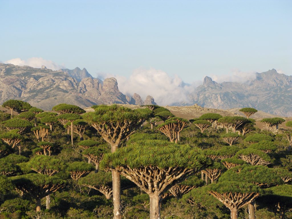 Socotra, Yemen