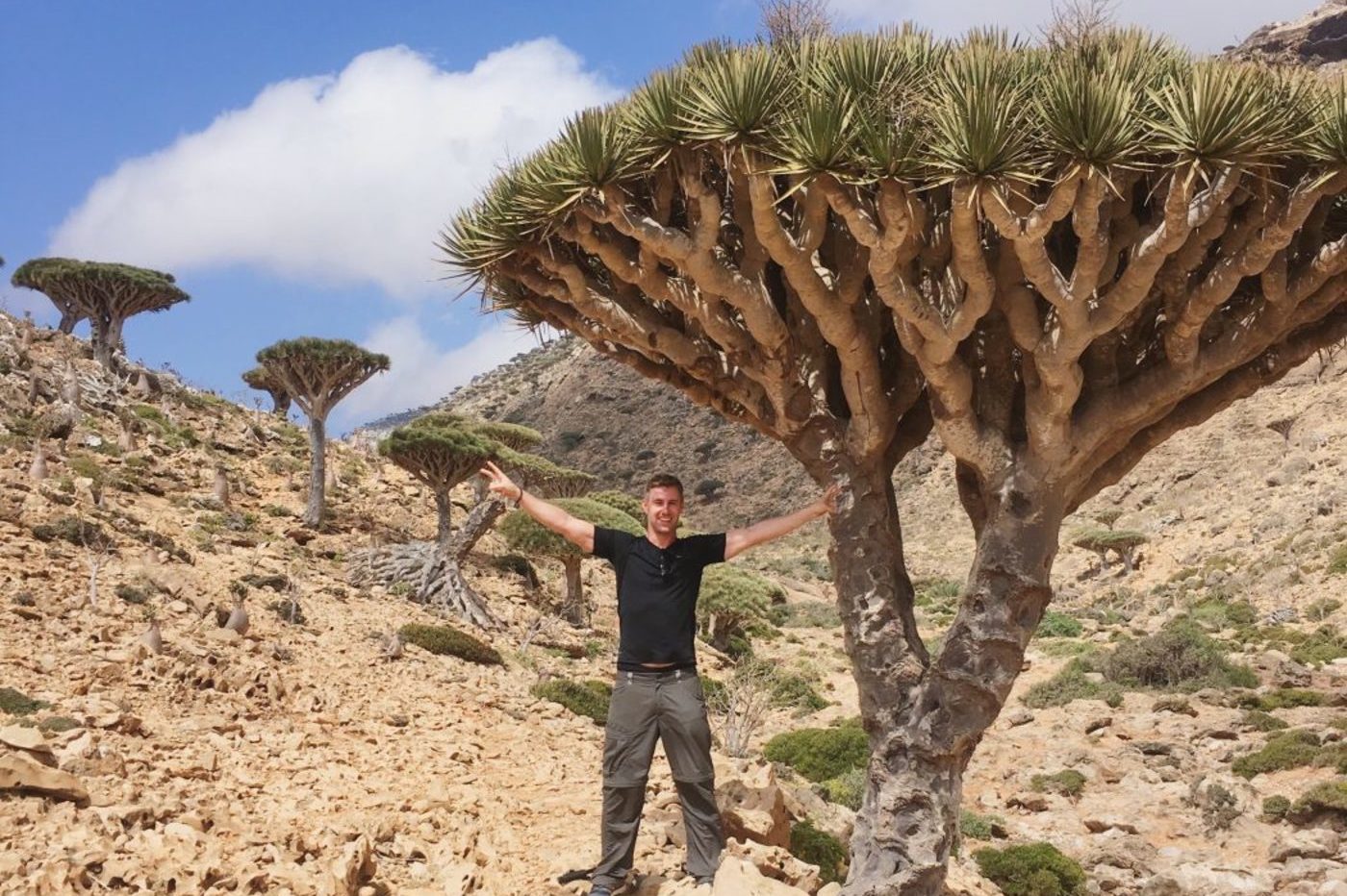 Socotra Landscape