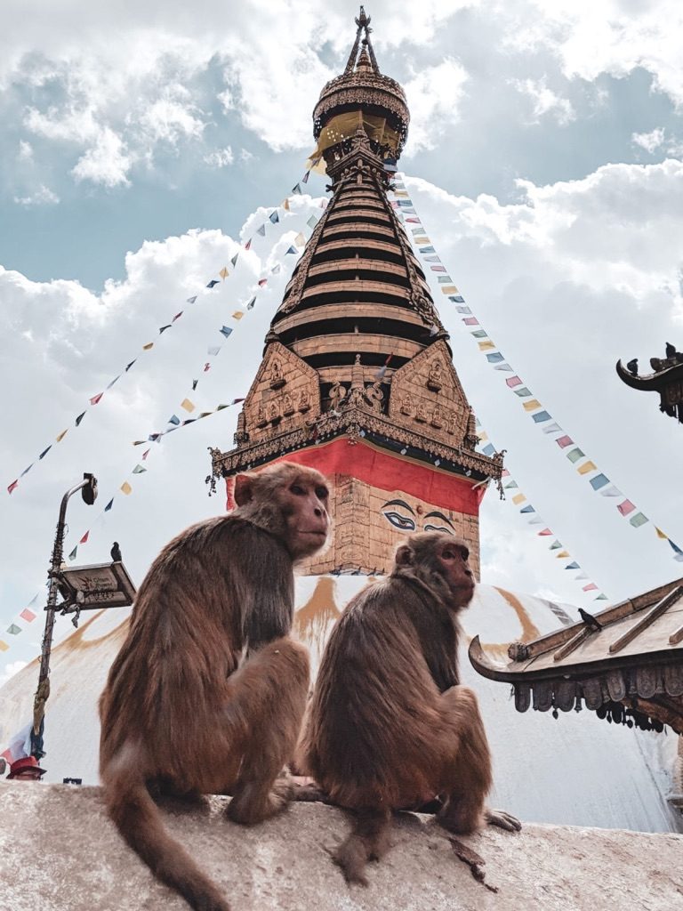 Kathmandu monkey temple