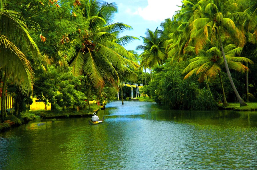 kerala nature