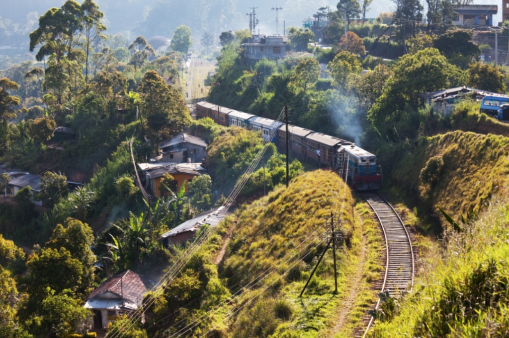 Volunteer Sri Lanka 2020