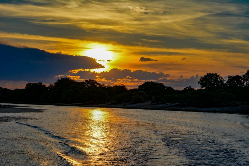 How to Visit Chobe National Park