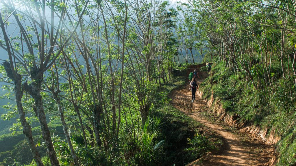 ciudad perdida colombia trek