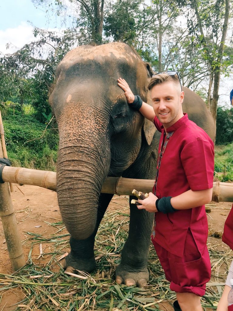 elephant nature park