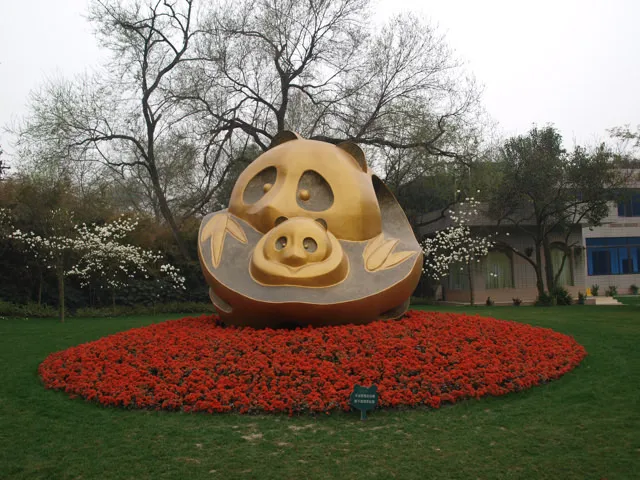 Panda park in Chengdu