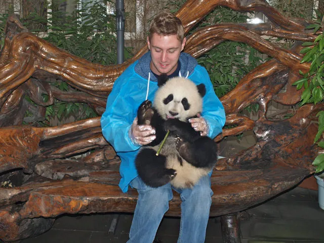 How to Hold A Panda in the Chengdu Panda Centre in China