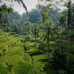 Bali Itinerary – Plan Your PERFECT 10 Days in Bali