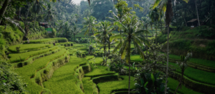 Bali itinerary