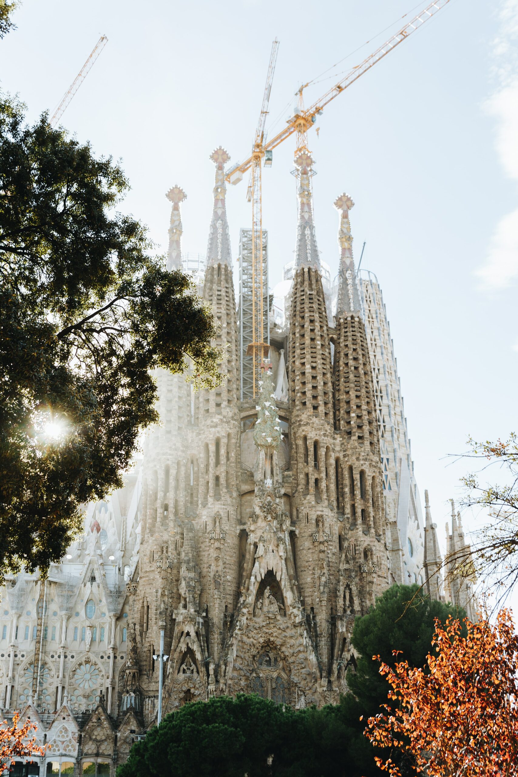 Free things to do in barcelona