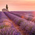 5 Best Places To Visit In Valensole 2021