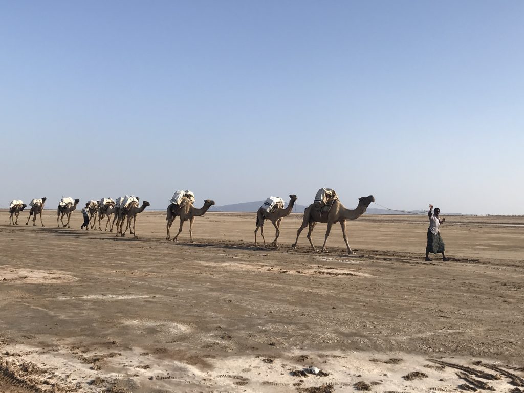 Danakil Depression tour