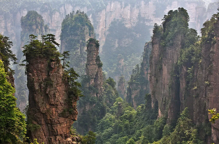 Zhangjiajie National Forest Parkthe place that inspired Avatar China   Times of India Travel