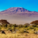 Climbing Kilimanjaro; A COMPLETE BEGINNER’S GUIDE