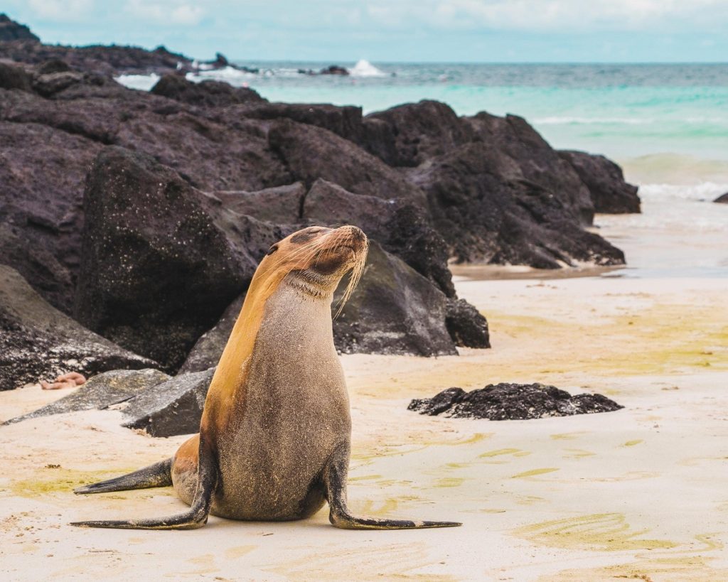 Which Galapagos Islands Are Best