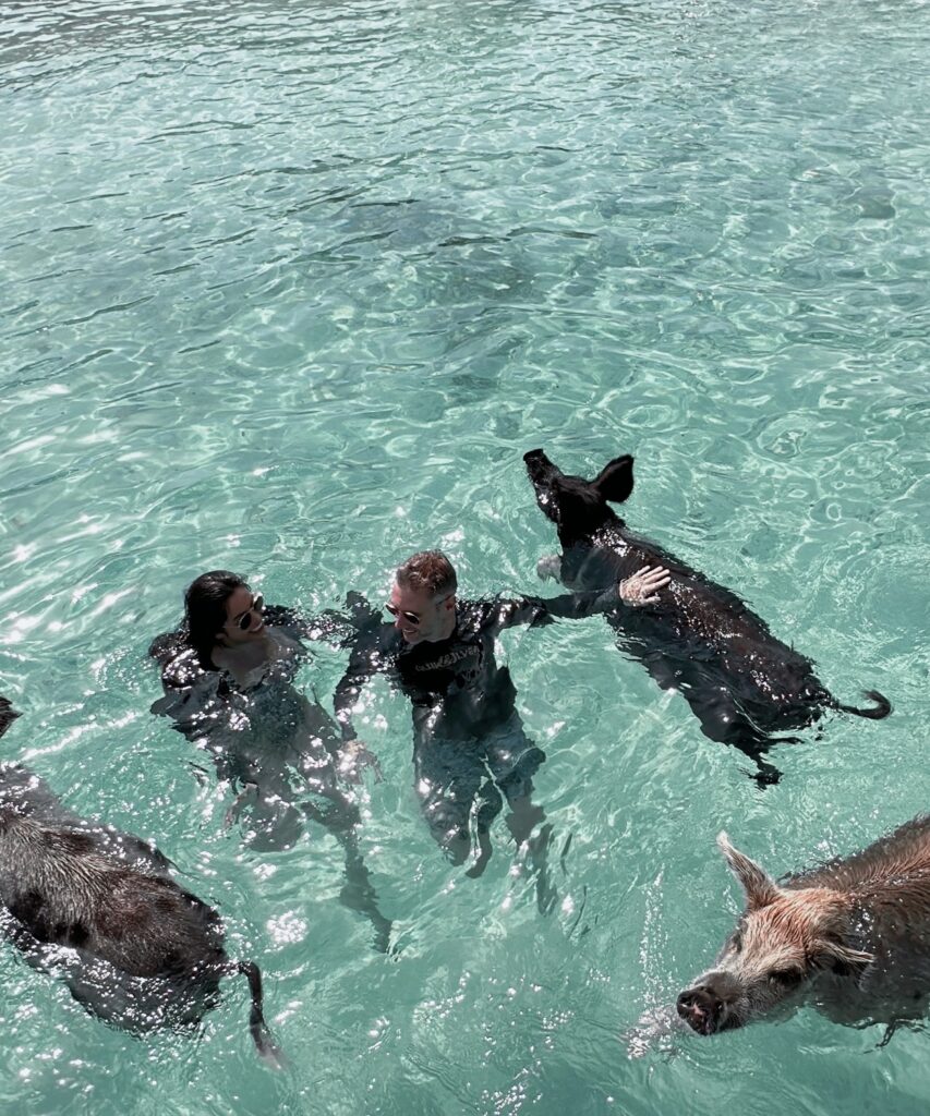 swimming with pigs staniel cay