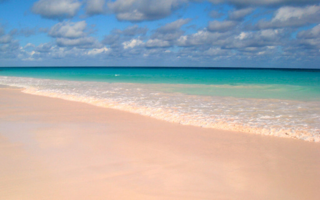 pink sands bahamas