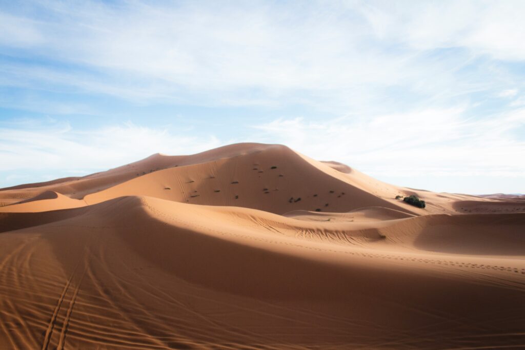 Libyan Sahara