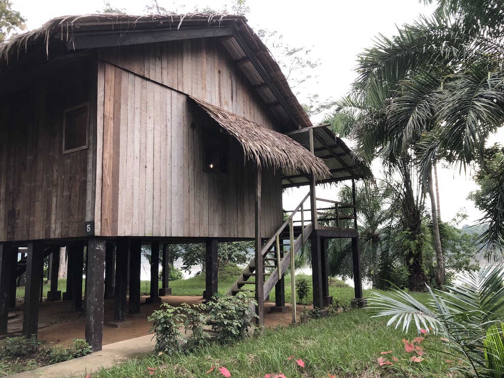 dzanga sangha lodge