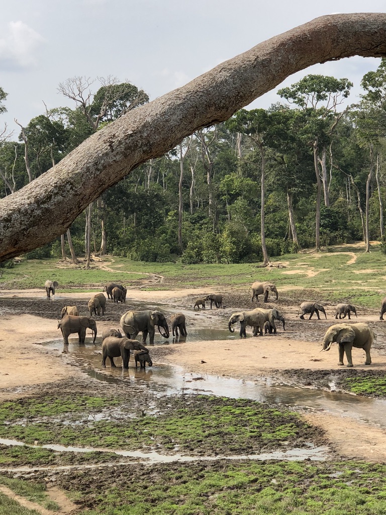 Visiting Central African Republic