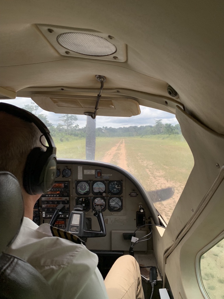 Dzanga Sangha national park