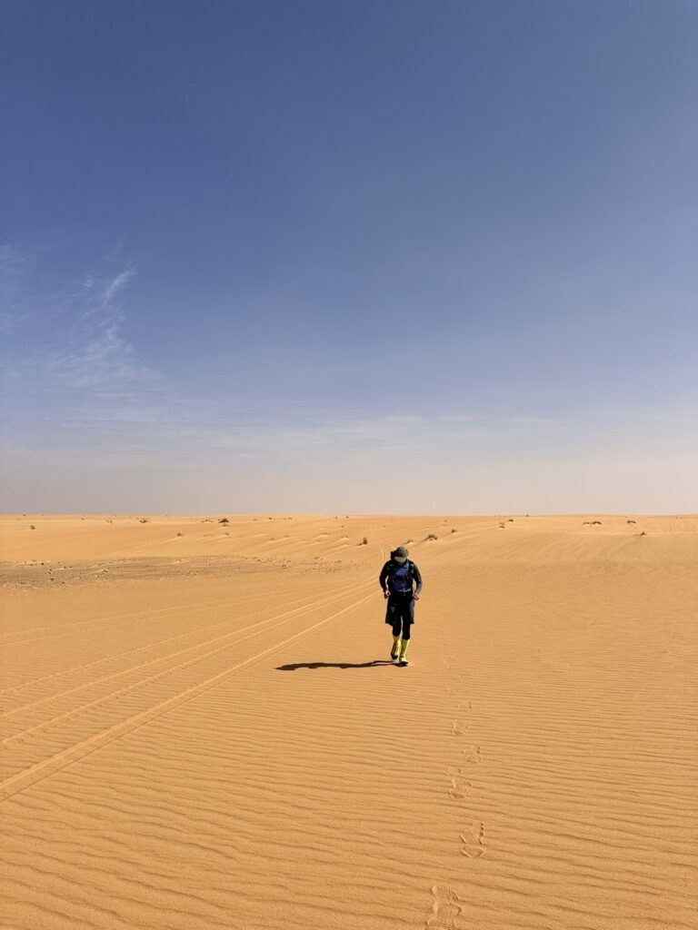 eye of the sahara