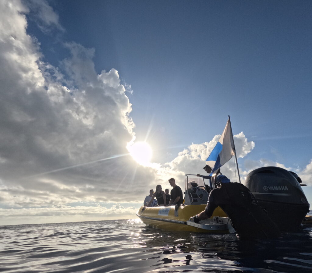 snorkeling in niue