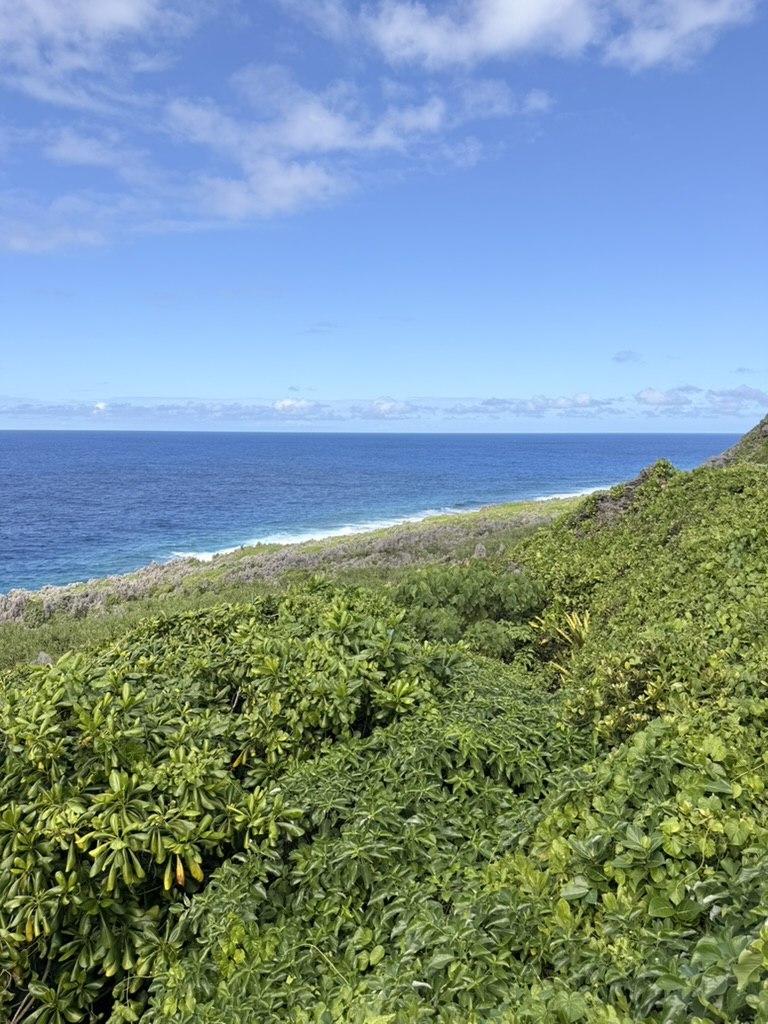 niue itinerary