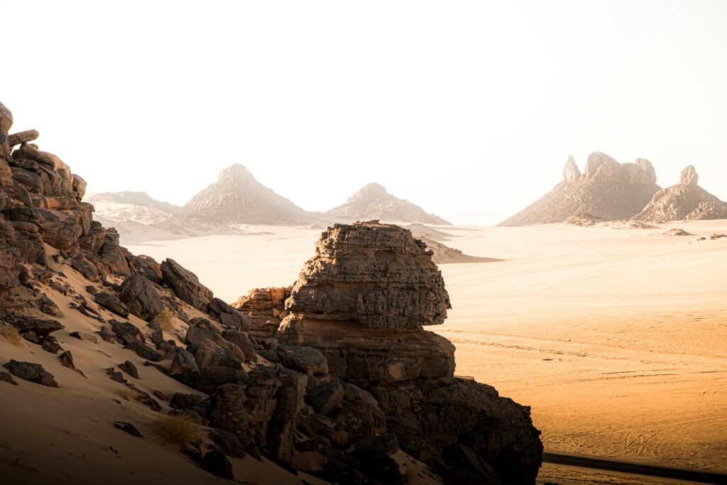 algeria tour