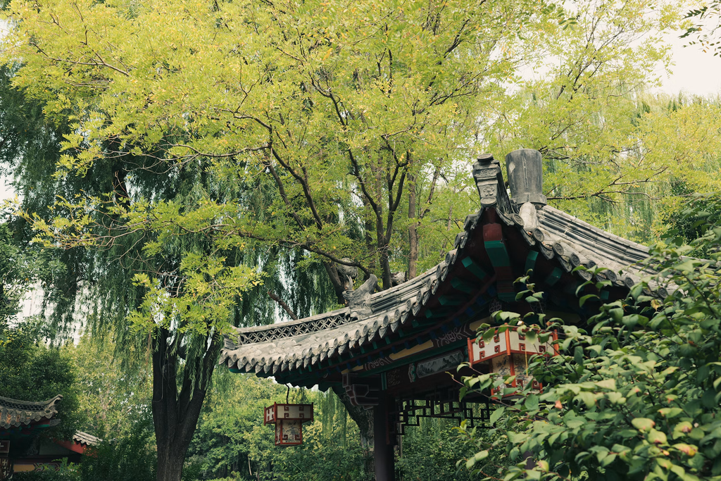 Vine Bridges Do Not Remain on Their Own: How to Read Three Regions of Asia